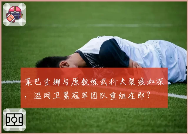 莱巴金娜与原教练武科夫裂痕加深,温网卫冕冠军团队重组在即?